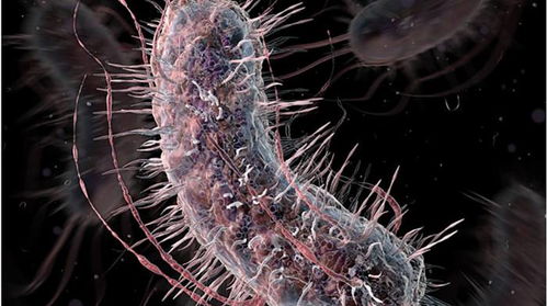 重新编码生命 药物研发的革新，更是生物领域的伟大尝试