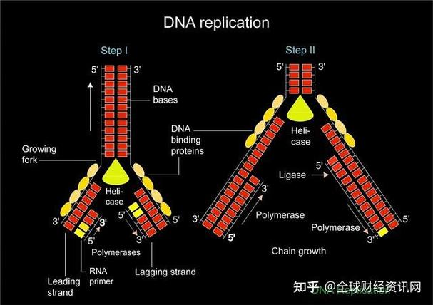 合成生物学产业进入兑现期 从实验室走向工厂，生物制造开启产业新变革
